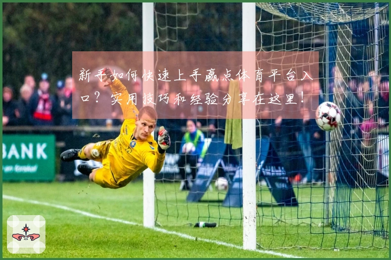 新手如何快速上手赢点体育平台入口？实用技巧和经验分享在这里！